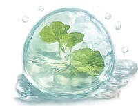 Centella Asiatica