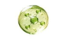 Lactobacillus Exosomes
