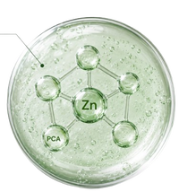 Zinc PCA